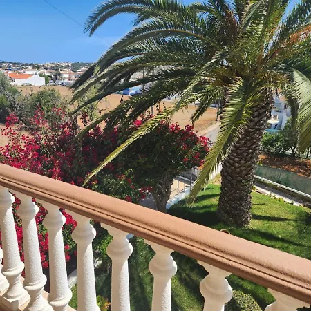 Traditional In Apartamento *