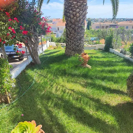 Traditional In البوفيرا