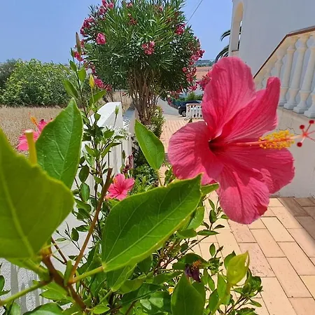 شقة Traditional In البوفيرا