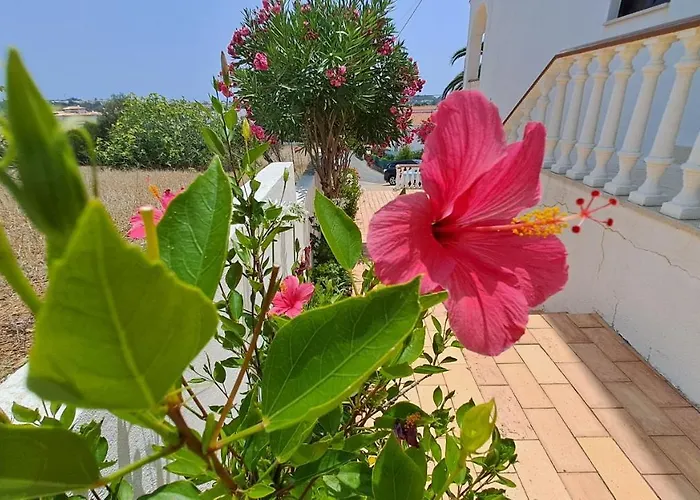 Apartament Traditional In Albufeira